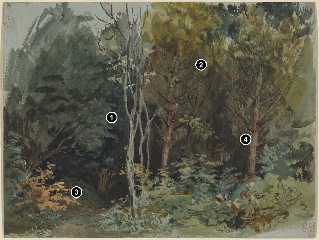 Annotated details from The Edge of a Wood at Nohant by Eugène Delacroix
